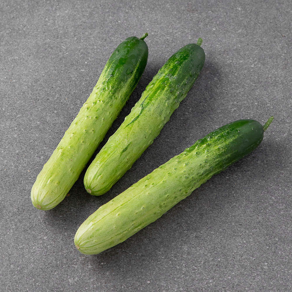 국내산 백오이 3,720원 꿀딜