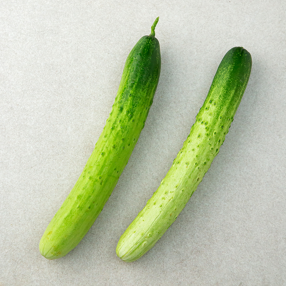 국내산 백오이 2,380원 (30일 최저가!) 꿀딜