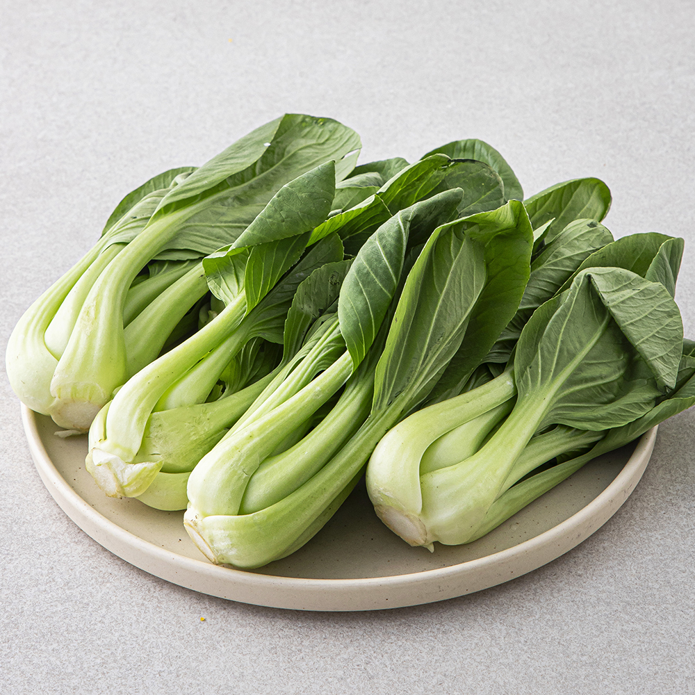 국내산 청경채 1,290원 꿀딜