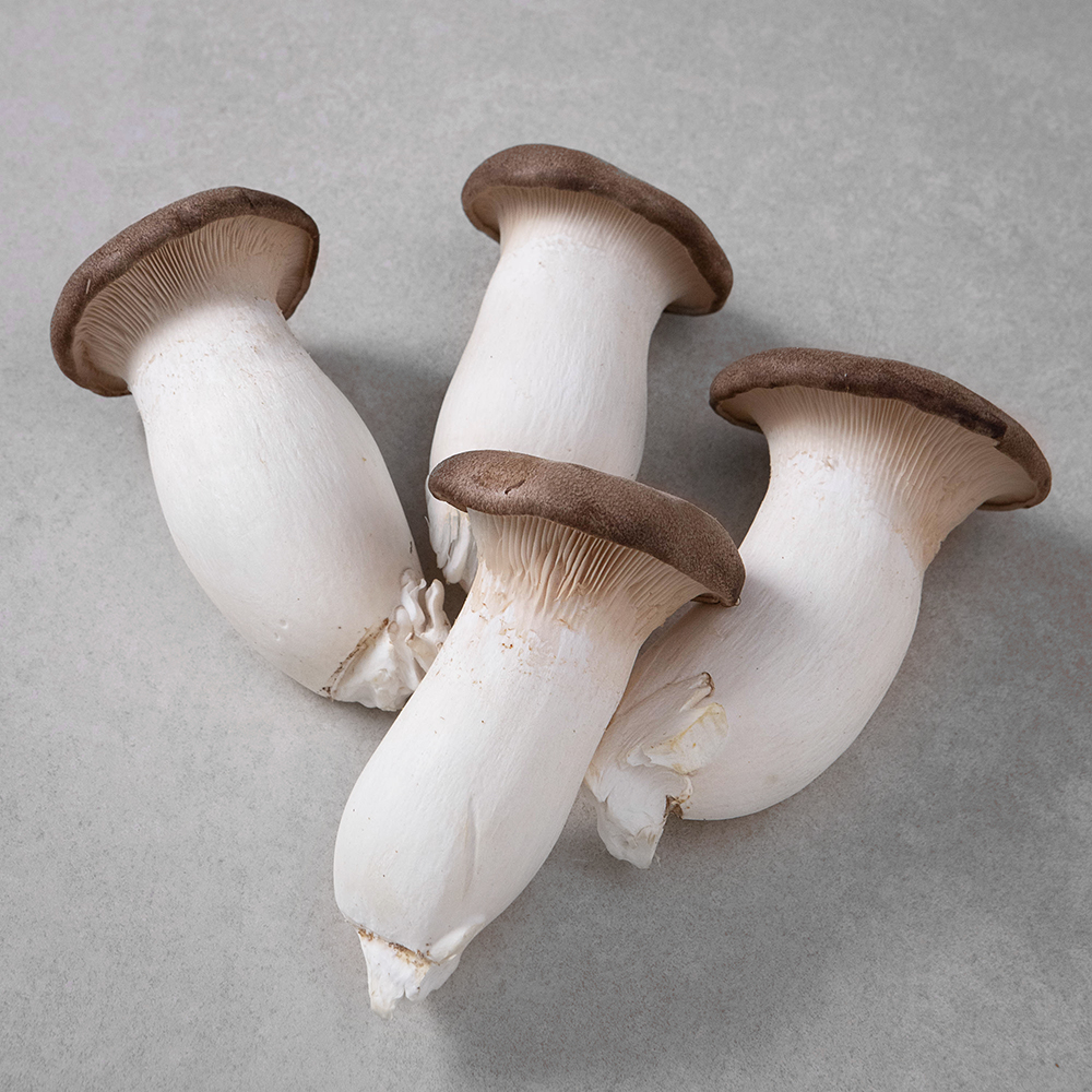 친환경 새송이버섯 2,480원 (30일 최저가!) 꿀딜