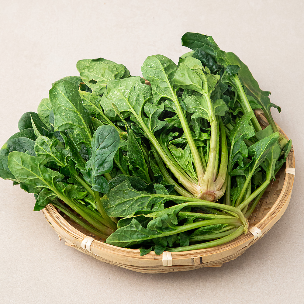 국내산 시금치 3,660원 꿀딜