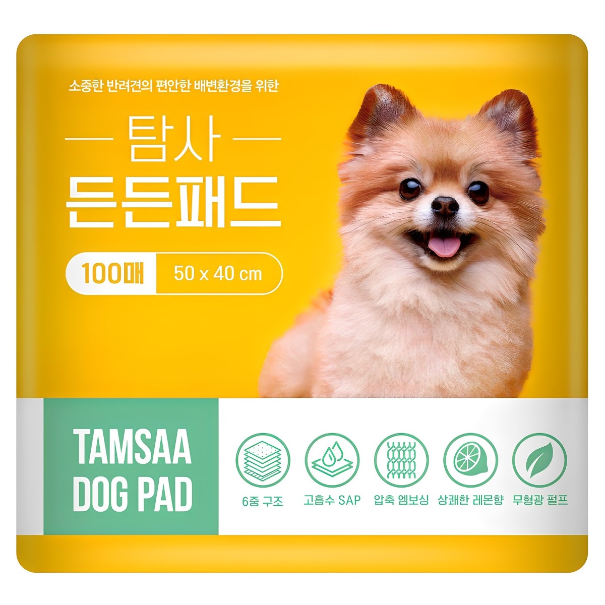 탐사 고흡수 든든패드 레몬향 10,060원 꿀딜
